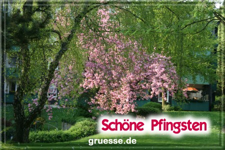 grusskarte-festtage-pfingsten-fotos-b_010