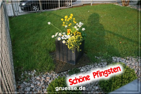 grusskarte-festtage-pfingsten-fotos-b_012