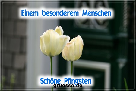 grusskarte-festtage-pfingsten-fotos-b_022