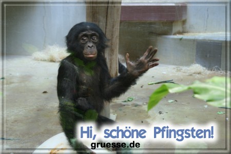 grusskarte-festtage-pfingsten-fotos-b_027