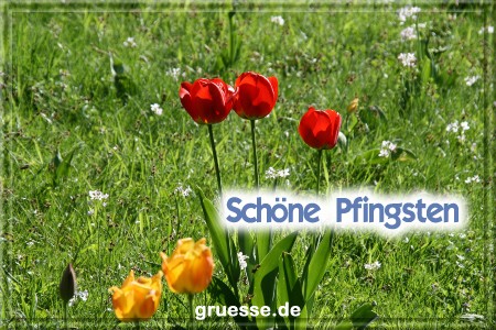 grusskarte-festtage-pfingsten-fotos-b_035