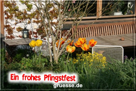 grusskarte-festtage-pfingsten-fotos-q_002