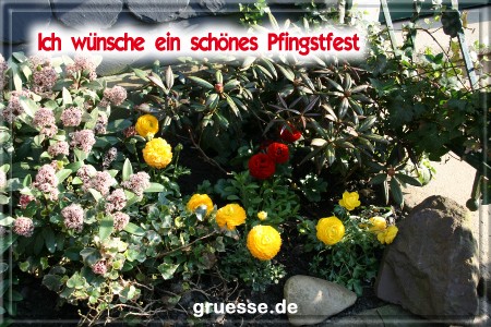 grusskarte-festtage-pfingsten-fotos-q_009