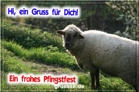 grusskarte-festtage-pfingsten-fotos-q_011