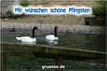 grusskarte-festtage-pfingsten-fotos-q_026
