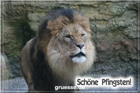 grusskarte-festtage-pfingsten-fotos-q_030