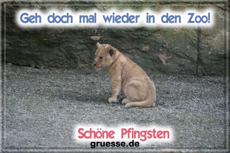 grusskarte-festtage-pfingsten-fotos-q_032