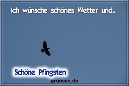 grusskarte-festtage-pfingsten-fotos-q_036