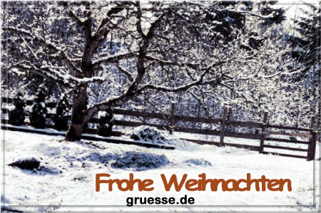 grusskarte-festtage-weihnachten-art-3-b_013