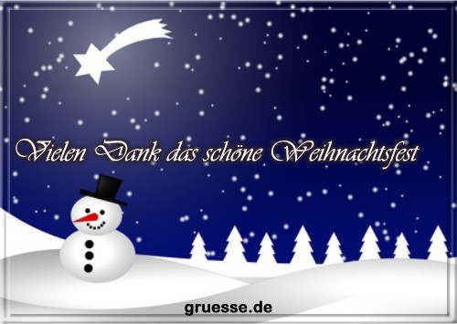 grusskarte-festtage-weihnachten-danke-b_014