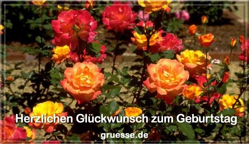 grusskarte-glueckwuensche-geburtstag-blumen-b_020