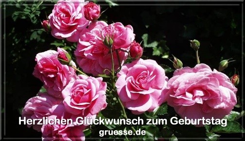 grusskarte-glueckwuensche-geburtstag-blumen-b_021