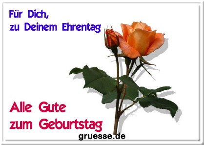 grusskarte-glueckwuensche-geburtstag-standard-q_043