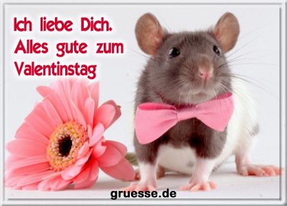 grusskarte-glueckwuensche-valentinstag-allgemein-b_012