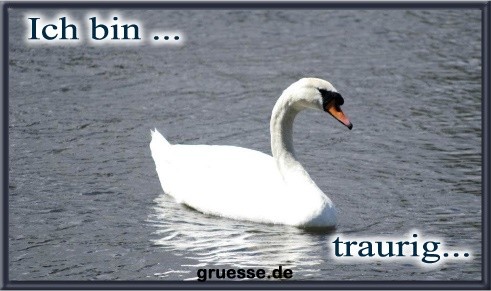ich-bin-ich-bin-traurig_014