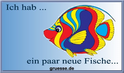 grusskarte-ich-hab-ich-hab-neue-fische_003