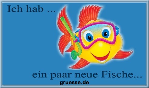 grusskarte-ich-hab-ich-hab-neue-fische_004