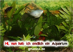 grusskarte-diverses-aquarianer-b_003