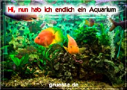 grusskarte-diverses-aquarianer-b_005
