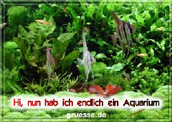 grusskarte-diverses-aquarianer-b_006
