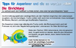 grusskarte-diverses-aquarianer-b_009