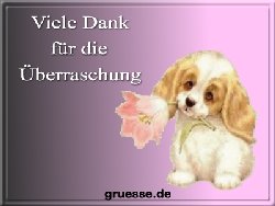 grusskarte-diverses-danke-b_022