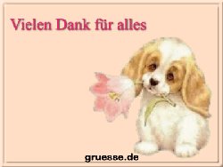 grusskarte-diverses-danke-q_015