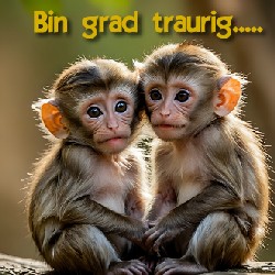 diverses_001