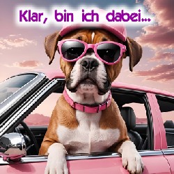 diverses_018