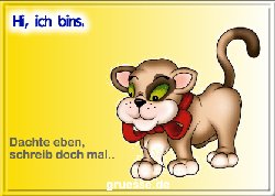 grusskarte-spass-q-gemischt_036