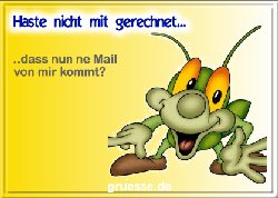 grusskarte-spass-q-gemischt_052