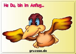 grusskarte-spass-q-gemischt_085