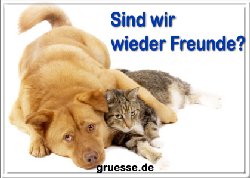 grusskarte-diverses-verzeihung-q_005