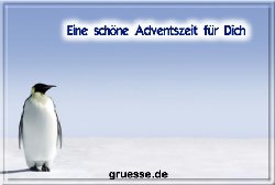 grusskarte-festtage-advent-winterfotos-b_016