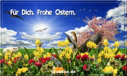 grusskarte-festtage-ostern-standard-2-b_036