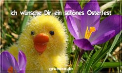 grusskarte-festtage-ostern-standard-2-q_010