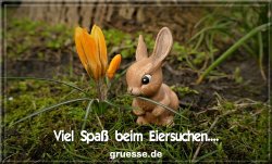 grusskarte-festtage-ostern-standard-2-q_026
