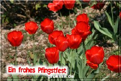 grusskarte-festtage-pfingsten-fotos-b_001