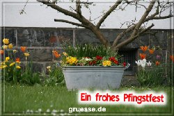 grusskarte-festtage-pfingsten-fotos-b_006