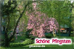 grusskarte-festtage-pfingsten-fotos-b_007