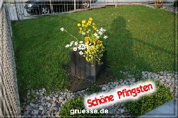 grusskarte-festtage-pfingsten-fotos-b_012