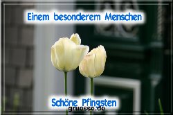 grusskarte-festtage-pfingsten-fotos-b_022