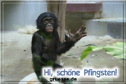 grusskarte-festtage-pfingsten-fotos-b_027