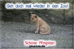 grusskarte-festtage-pfingsten-fotos-b_032