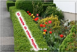 grusskarte-festtage-pfingsten-fotos-q_003