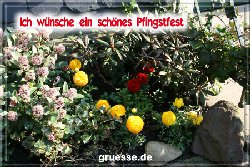 grusskarte-festtage-pfingsten-fotos-q_009