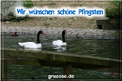 grusskarte-festtage-pfingsten-fotos-q_026