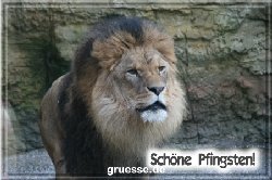 grusskarte-festtage-pfingsten-fotos-q_030