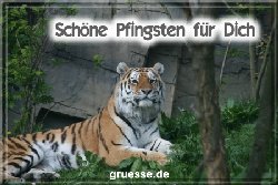 grusskarte-festtage-pfingsten-fotos-q_033