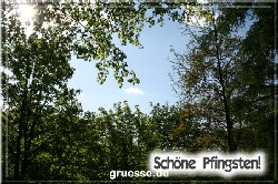 grusskarte-festtage-pfingsten-fotos-q_034
